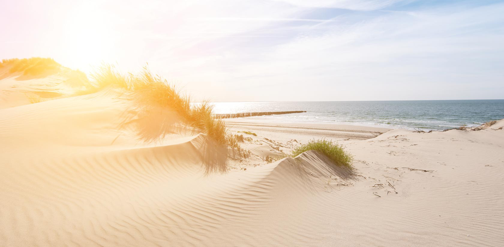 Beachhub renesse strand WEB